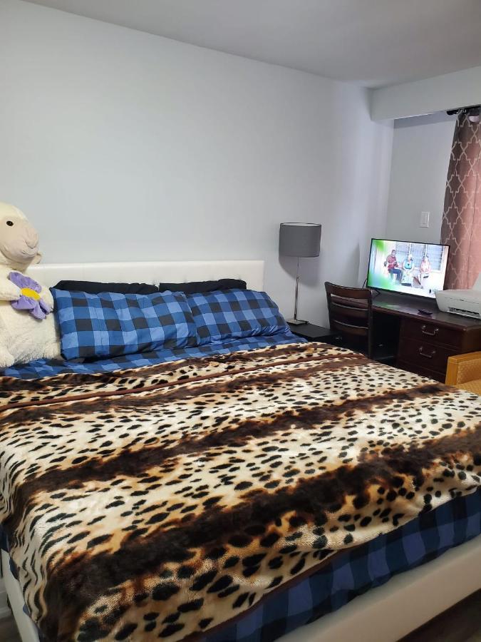 Maxwell Esabu Apartment Торонто Екстериор снимка